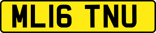 ML16TNU