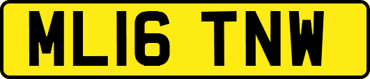 ML16TNW
