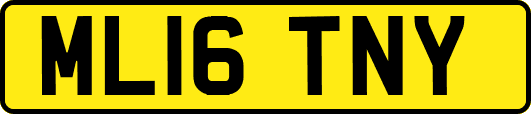 ML16TNY