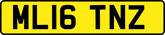 ML16TNZ