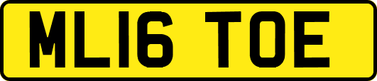 ML16TOE