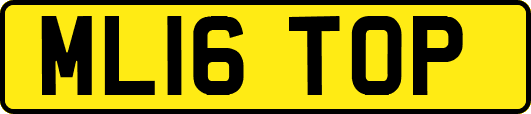 ML16TOP