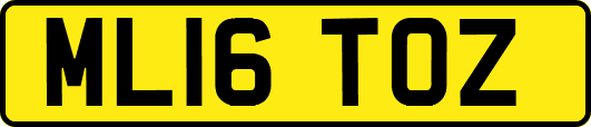ML16TOZ
