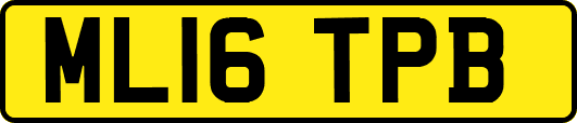 ML16TPB