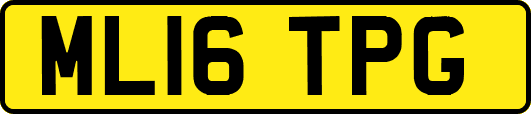ML16TPG
