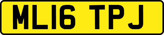 ML16TPJ