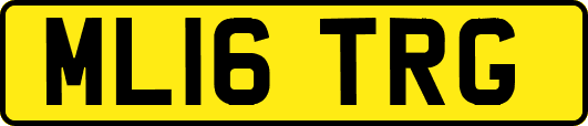 ML16TRG