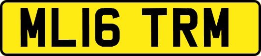 ML16TRM
