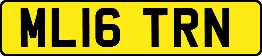 ML16TRN