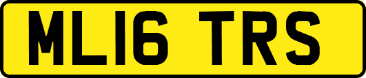 ML16TRS