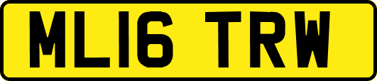 ML16TRW