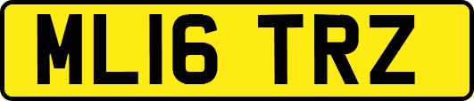 ML16TRZ