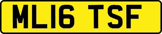 ML16TSF