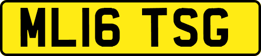 ML16TSG