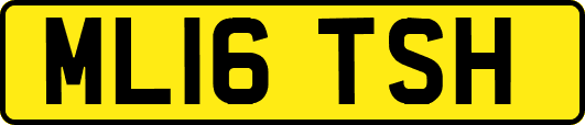 ML16TSH