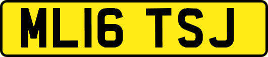 ML16TSJ