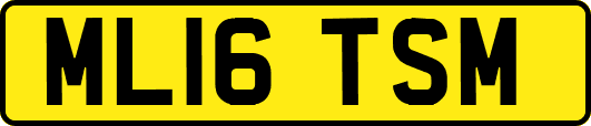 ML16TSM