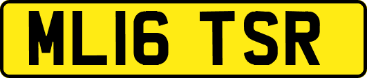 ML16TSR