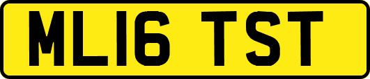 ML16TST