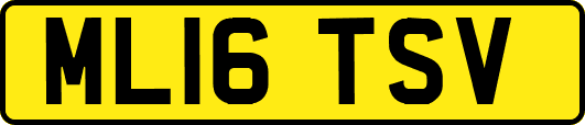 ML16TSV