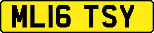 ML16TSY