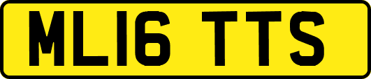 ML16TTS