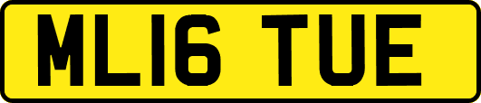 ML16TUE
