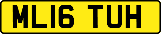 ML16TUH