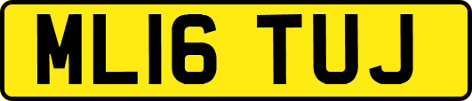 ML16TUJ