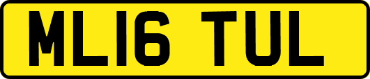 ML16TUL