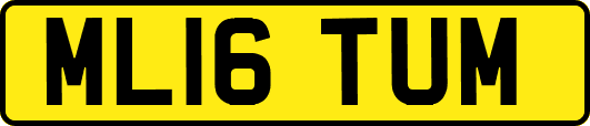 ML16TUM