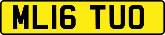 ML16TUO