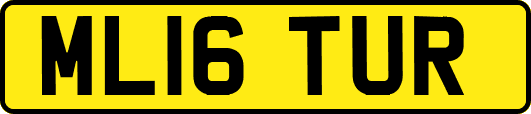 ML16TUR