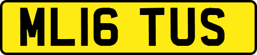 ML16TUS