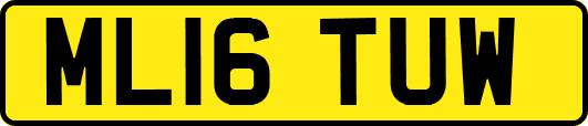 ML16TUW