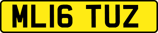ML16TUZ