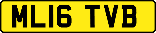 ML16TVB