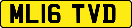 ML16TVD
