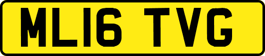 ML16TVG