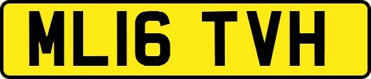 ML16TVH