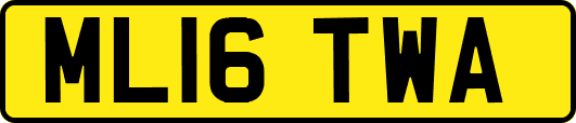 ML16TWA