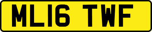 ML16TWF