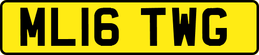 ML16TWG