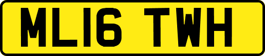 ML16TWH