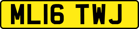 ML16TWJ