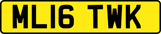 ML16TWK