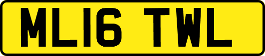 ML16TWL