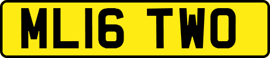ML16TWO