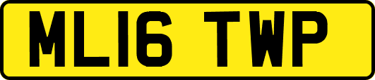ML16TWP
