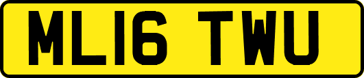 ML16TWU